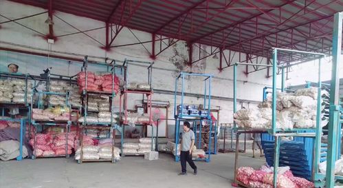 濟南萊蕪區(qū)寨里鎮(zhèn)薛埠村姜蒜加工廠安全生產(chǎn)專項檢查工作動態(tài)