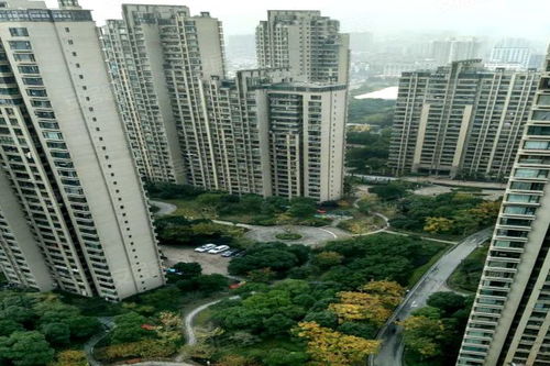 上海灘大寧城 公寓住宅 優(yōu)點 不足,上海灘大寧城 公寓住宅 怎么樣,上海灘大寧城 公寓住宅 周邊房產(chǎn)中介經(jīng)紀(jì)人評價