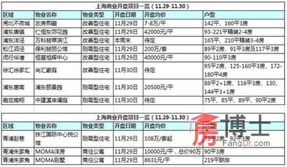 開發商年末賣力拓客 周末11盤近1800套房源搶市 _上海房地產綜合門戶_上海房博士