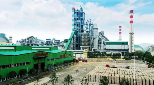 世界首條吸碳制磚生產線在華新成功運行 入選全球建材十大科技新聞